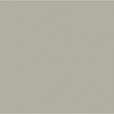 Линолеум Apoluza SportFloor PVC Dance 2.0 02 фото 1 | FLOORDEALER