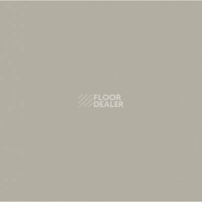 Линолеум Apoluza SportFloor PVC Dance 2.0 02 фото 1 | FLOORDEALER