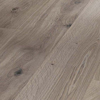 Ламинат Parador Basic Plus 400 1744347 Дуб Базальтовый Серый фото 1 | FLOORDEALER