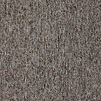 Ковролин AW Savannah 49 фото 1 | FLOORDEALER