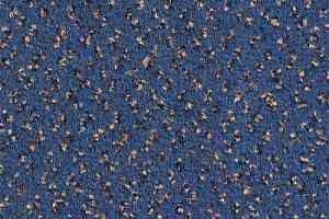 Ковровая плитка Balsan Impression Sonic Confort 192 фото  | FLOORDEALER