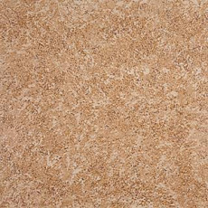 Линолеум Grabo Terrana Top Extra 4261-252 фото 1 | FLOORDEALER