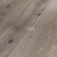 Ламинат Parador Basic Plus 400 1744347 Дуб Базальтовый Серый фото 1 | FLOORDEALER