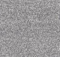 Ковролин Sintelon Dragon 33631 фото 1 | FLOORDEALER