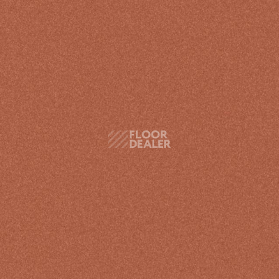 Линолеум Tarkett iq Melodia 2619 фото 1 | FLOORDEALER