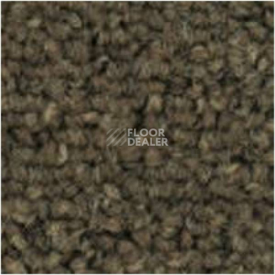Ковровая плитка Tecsom 3580 dt 014 фото 1 | FLOORDEALER