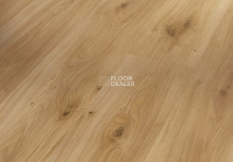 Ламинат Parador Basic Plus 400 V 1593797 Дуб Горизонт фото 1 | FLOORDEALER