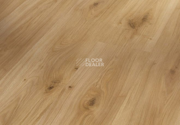 Ламинат Parador Basic Plus 400 V 1593797 Дуб Горизонт фото 1 | FLOORDEALER