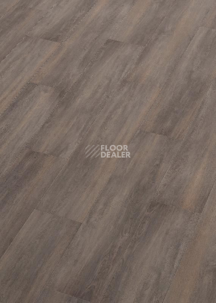 Ламинат Terhurne Trend Line 243мм 1972 Дуб Дымчато - Серый 1101021711 фото 1 | FLOORDEALER