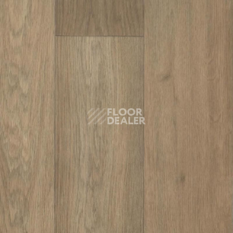 Линолеум Tarkett Galaxy Burgas 1 фото 1 | FLOORDEALER
