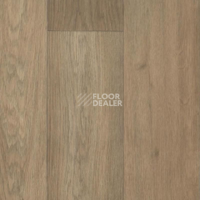 Линолеум Tarkett Galaxy Burgas 1 фото 1 | FLOORDEALER