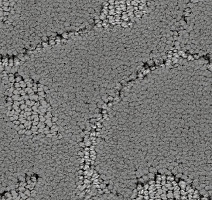 Ковролин Balsan Grand Hotel Amboise 920 фото 1 | FLOORDEALER