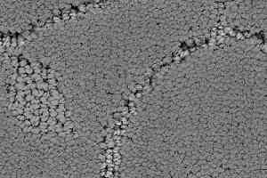 Ковролин Balsan Grand Hotel Amboise 920 фото  | FLOORDEALER