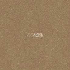 Линолеум Grabo Silver Knight Acoustic 7 455_887-9067 фото 1 | FLOORDEALER