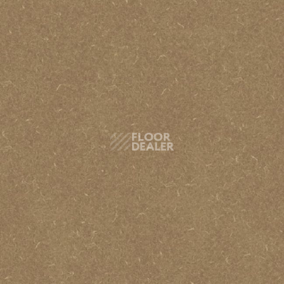 Линолеум Grabo Silver Knight Acoustic 7 455_887-9067 фото 1 | FLOORDEALER