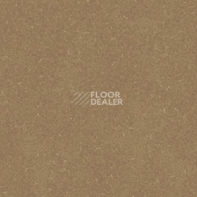 Линолеум Grabo Silver Knight Acoustic 7 455_887-9067 фото 1 | FLOORDEALER