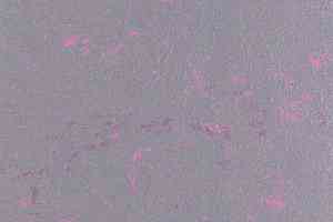 Линолеум Forbo Marmoleum Solid Concrete 3735-373535 purple shimmer фото  | FLOORDEALER