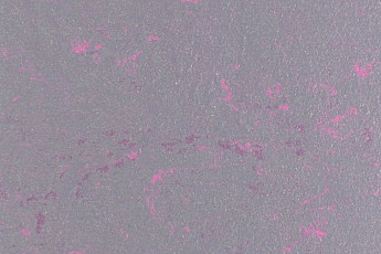 Линолеум Forbo Marmoleum Solid Concrete 3735-373535 purple shimmer фото 1 | FLOORDEALER