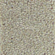 Ковролин Infloor Chiffon 855 фото 1 | FLOORDEALER