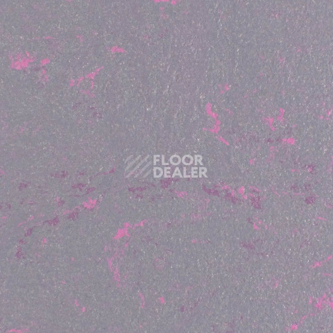 Линолеум Forbo Marmoleum Solid Concrete 3735-373535 purple shimmer фото 1 | FLOORDEALER