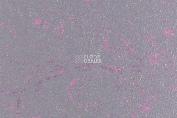 Линолеум Forbo Marmoleum Solid Concrete 3735-373535 purple shimmer фото 1 | FLOORDEALER