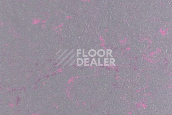 Линолеум Marmoleum Solid Concrete 3735-373535 purple shimmer фото 1 | FLOORDEALER
