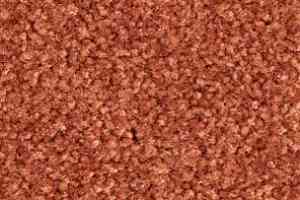 Ковролин Balsan Bolero roll 480 фото  | FLOORDEALER