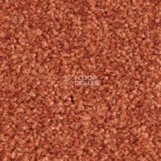 Ковролин Balsan Bolero roll 480 фото 1 | FLOORDEALER