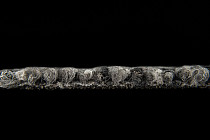 Desso Essence Traces ad 09 9112 фото 5 | FLOORDEALER