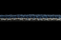 Bonkeel Shake Sapphire 512 фото 3 | FLOORDEALER