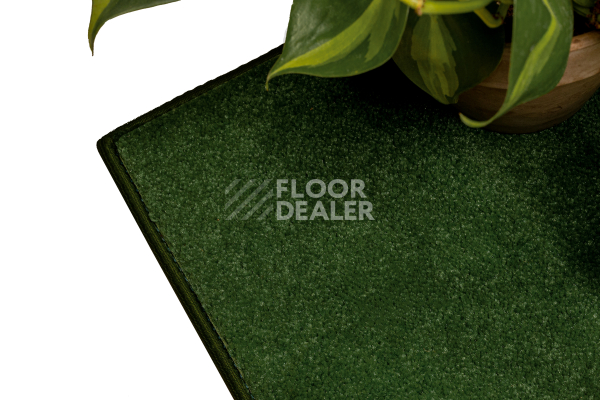 Ковролин Haima STONE (Стоун) 24 Green Grass фото 2 | FLOORDEALER