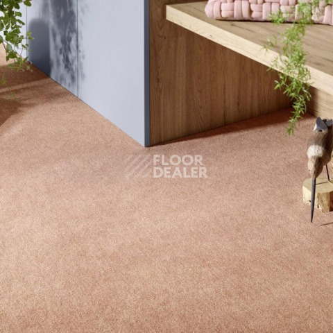 Vorwerk Superior 1072/Nutria Comfort Vorwerk 1n28 фото 2 | FLOORDEALER