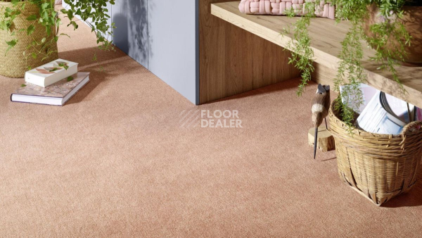 Vorwerk Superior 1072/Nutria Comfort Vorwerk 1n28 фото 2 | FLOORDEALER