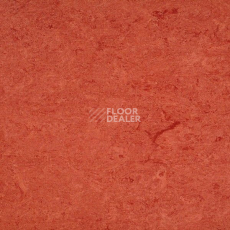 Линолеум Marmorette DLW 2.5mm 121-008 фото 1 | FLOORDEALER