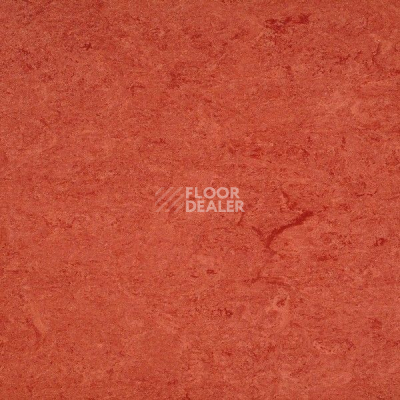 Линолеум Marmorette DLW 2.5mm 121-008 фото 1 | FLOORDEALER