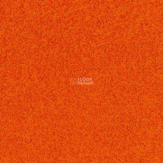 Desso Palatino 5206 фото 1 | FLOORDEALER