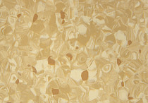 Tarkett Primo Plus 304 фото 2 | FLOORDEALER