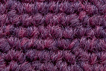 Art Intervention Коллекция Creative Spark Creative Spark 467 фото 4 | FLOORDEALER