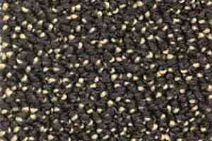 Ковролин Dura Level Two 991 фото  | FLOORDEALER