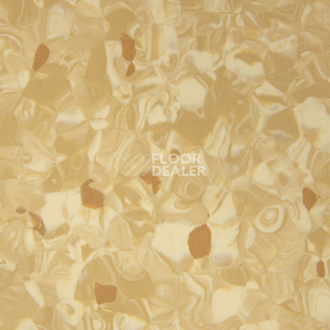 Tarkett Primo Plus 304 фото 2 | FLOORDEALER