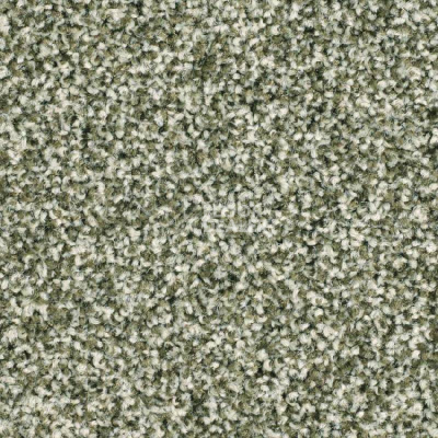 Ковровая плитка Balsan Mezzo 250 фото 1 | FLOORDEALER