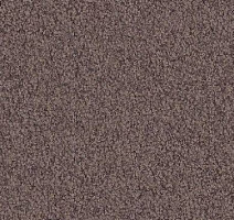 Ковролин Vorwerk Viola 5t70 фото 1 | FLOORDEALER