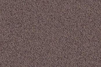 Ковролин Vorwerk Viola 5t70 фото 1 | FLOORDEALER