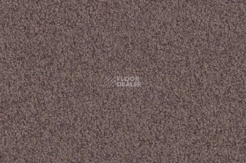 Ковролин Vorwerk Viola 5t70 фото 1 | FLOORDEALER