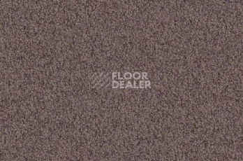 Ковролин Vorwerk Viola 5t70 фото 1 | FLOORDEALER