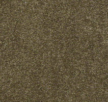 Ковролин Shaw Design Texture Platinum 391 фото 1 | FLOORDEALER