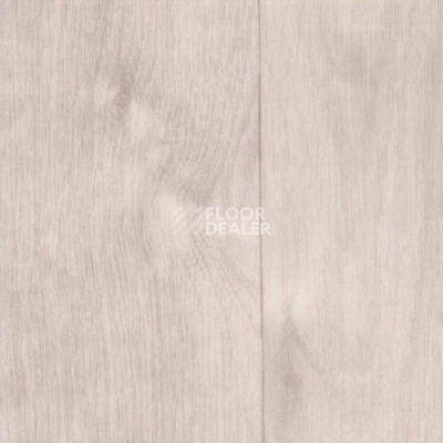 Линолеум Grabo Silver Knight Acoustic 7 1001_384_870 фото 1 | FLOORDEALER