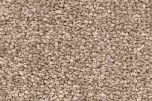 Ковролин Balsan First Class 650 фото  | FLOORDEALER