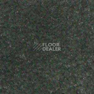 Ковролин Shaw all That Jazz 21340 фото 1 | FLOORDEALER