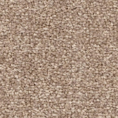 Ковролин Balsan First Class 650 фото 1 | FLOORDEALER